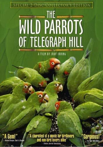 The Wild Parrots of Telegraph Hill (Special Two-Disc Collector's Edition)