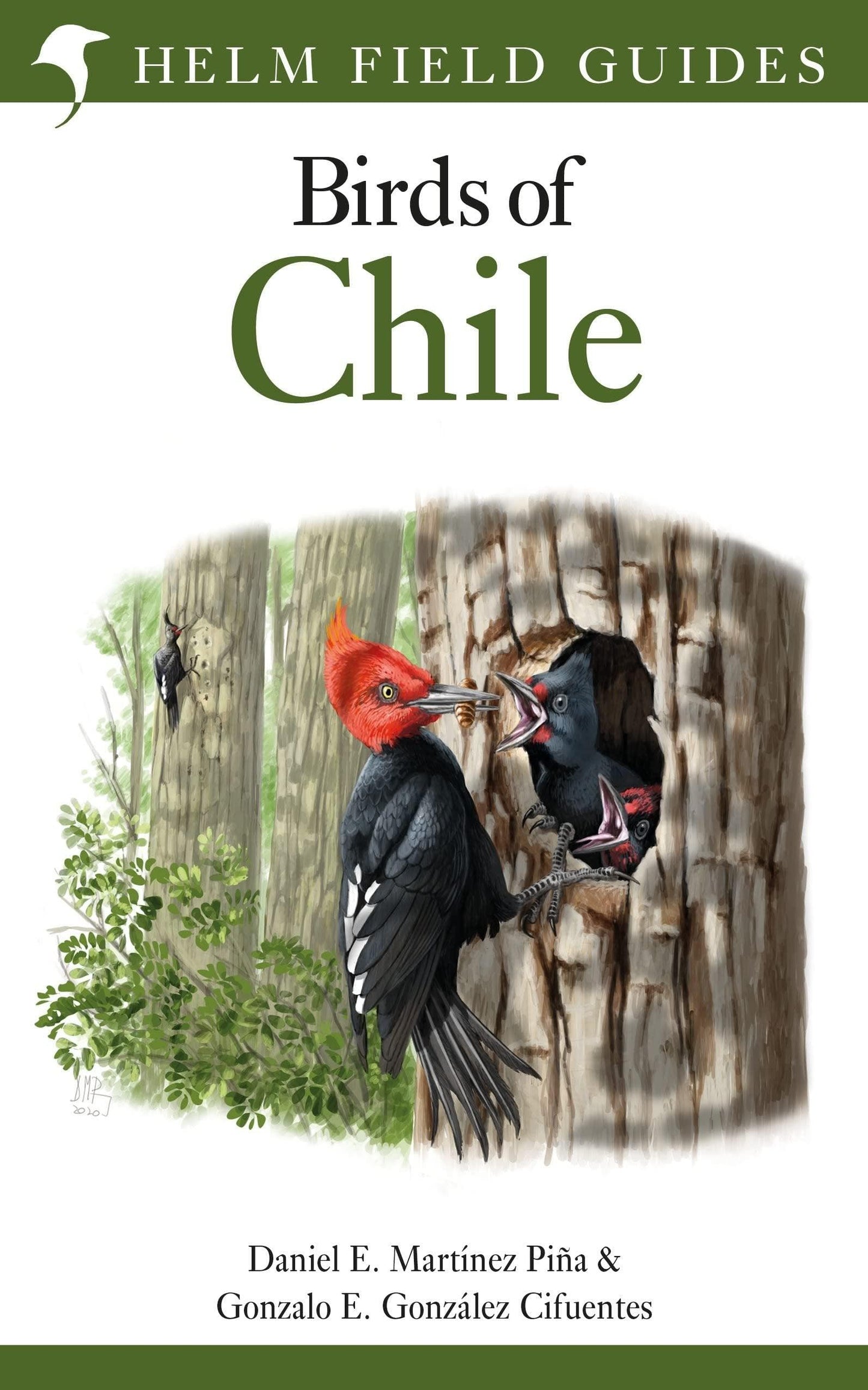 Field Guide to the Birds of Chile - ZXASQW