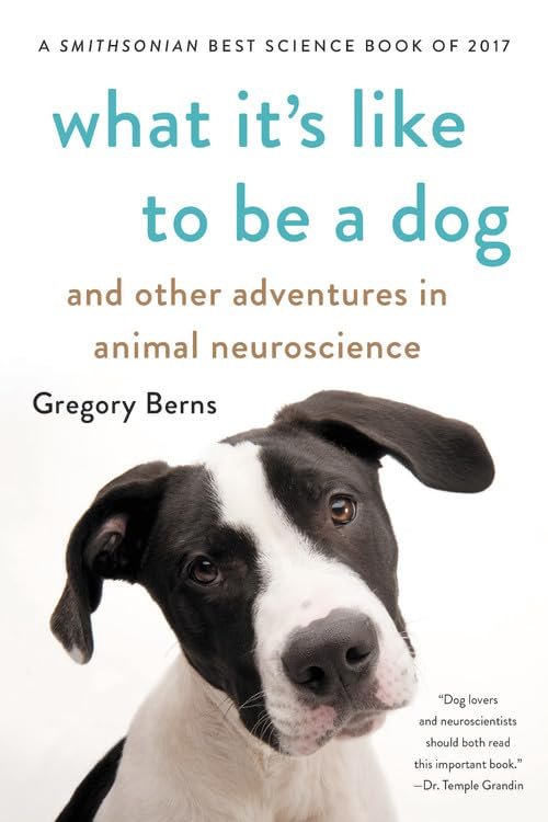 Cover of the book "What It's Like to Be a Dog: And Other Adventures in Animal Neuroscience" by Gregory Berns, featuring a close-up of a black and white dog looking at the camera.