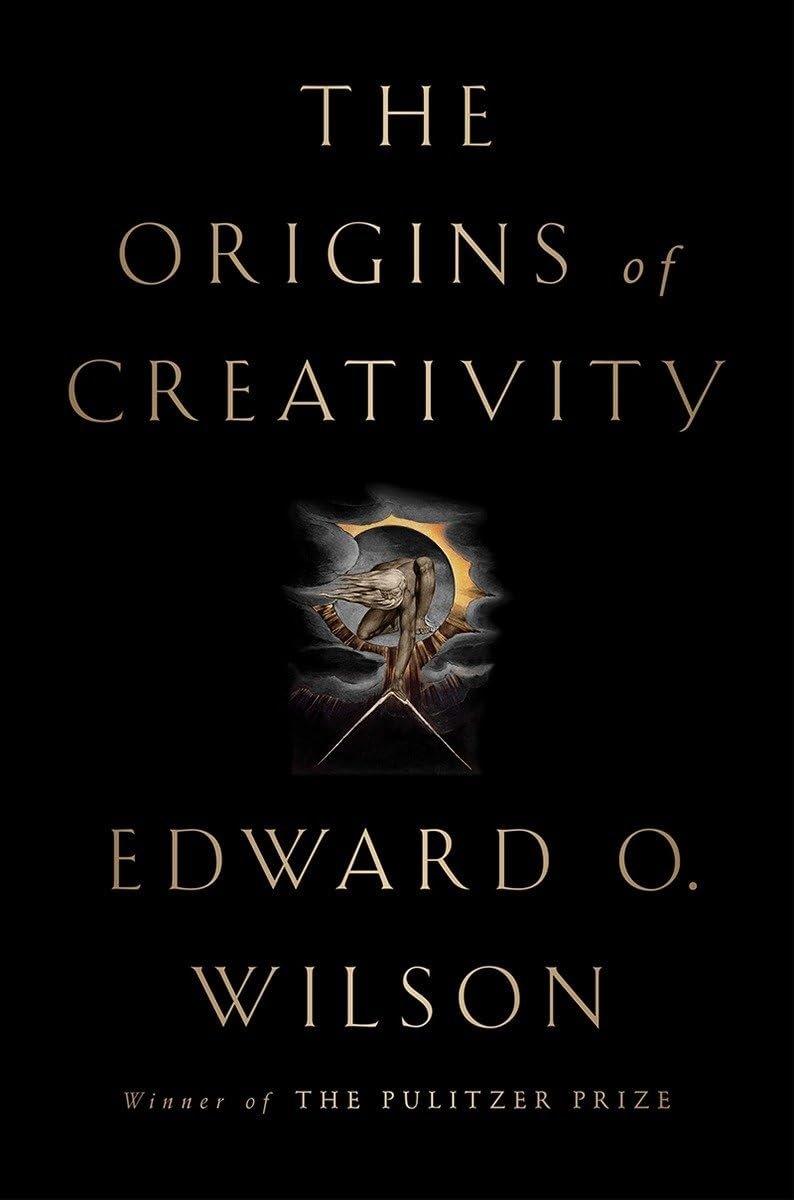 The Origins of Creativity - ZXASQW Funny Name. Free Shipping.