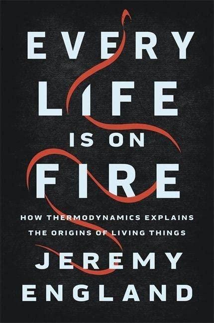 a book cover of every life is on fire