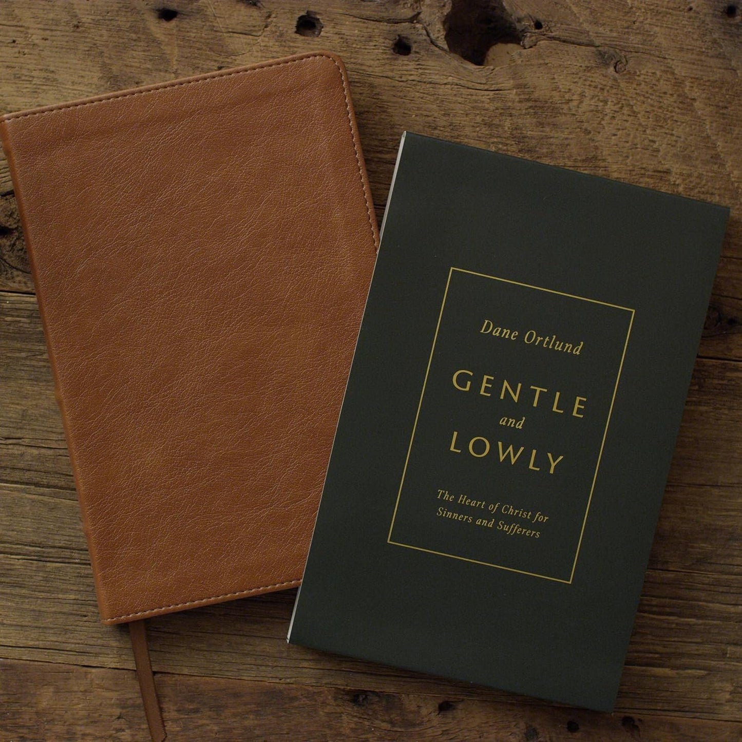 Gentle and Lowly: The Heart of Christ for Sinners and Sufferers (Gift Edition)