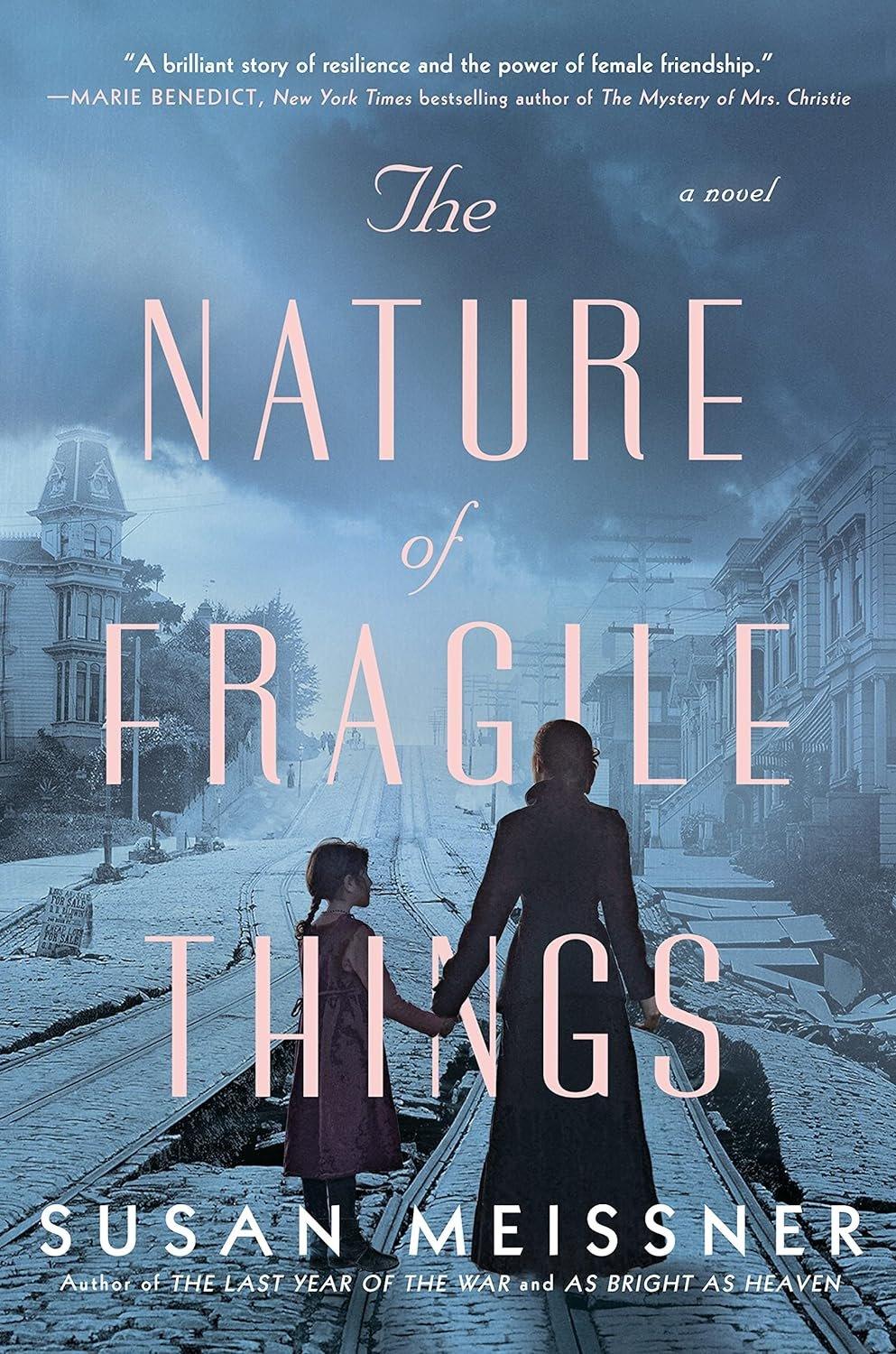 The Nature of Fragile Things - Used Like New - ZXASQW Funny Name. Free Shipping.