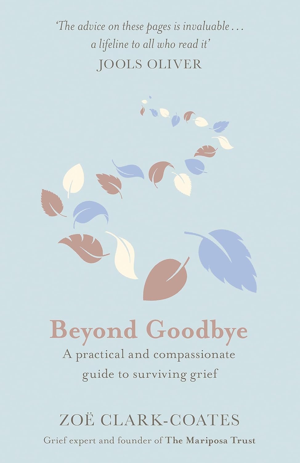 Beyond Goodbye: A practical and compassionate guide to surviving grief, with day-by-day resources to navigate a path through loss