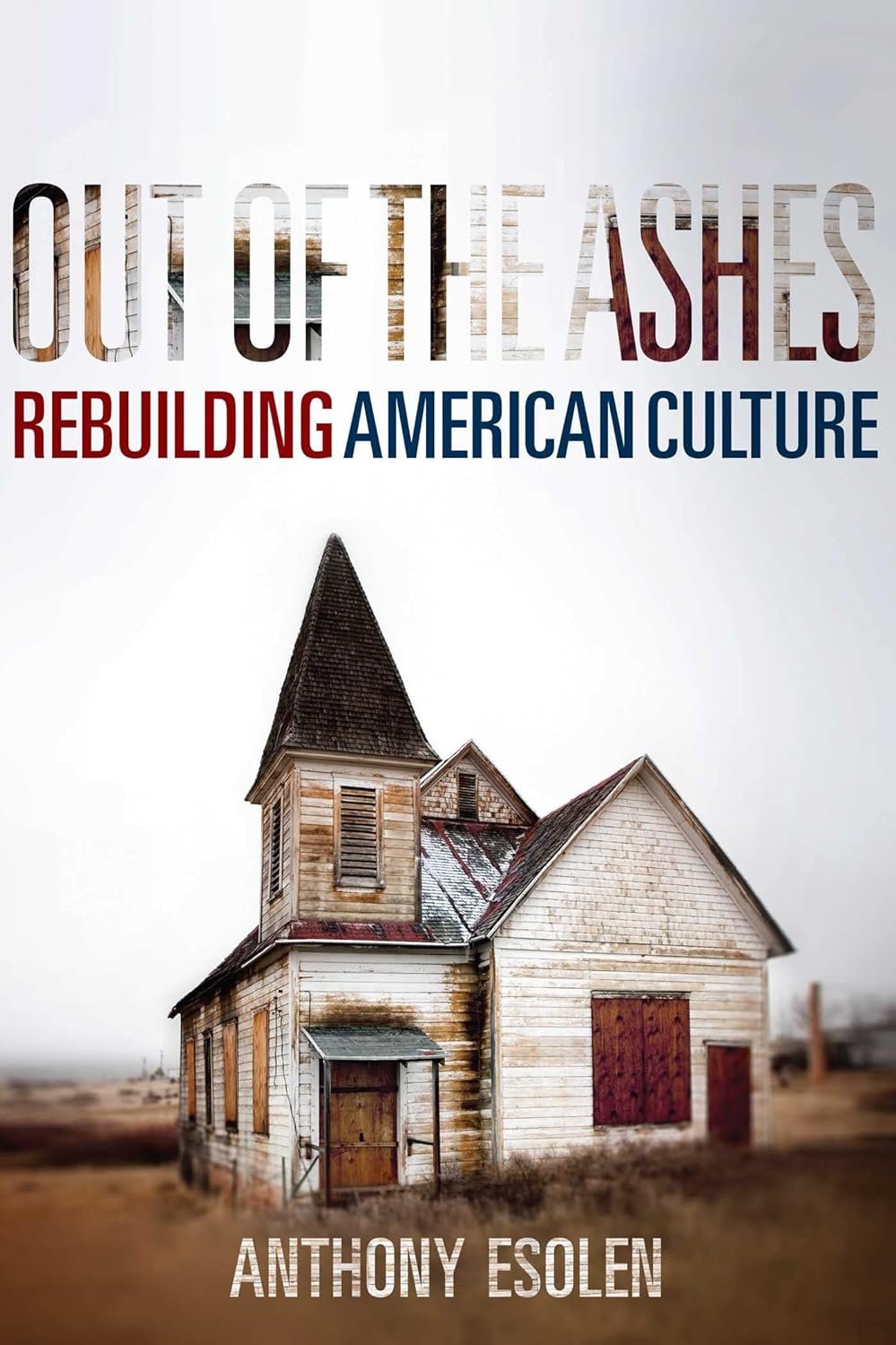 Out of the Ashes: Rebuilding American Culture