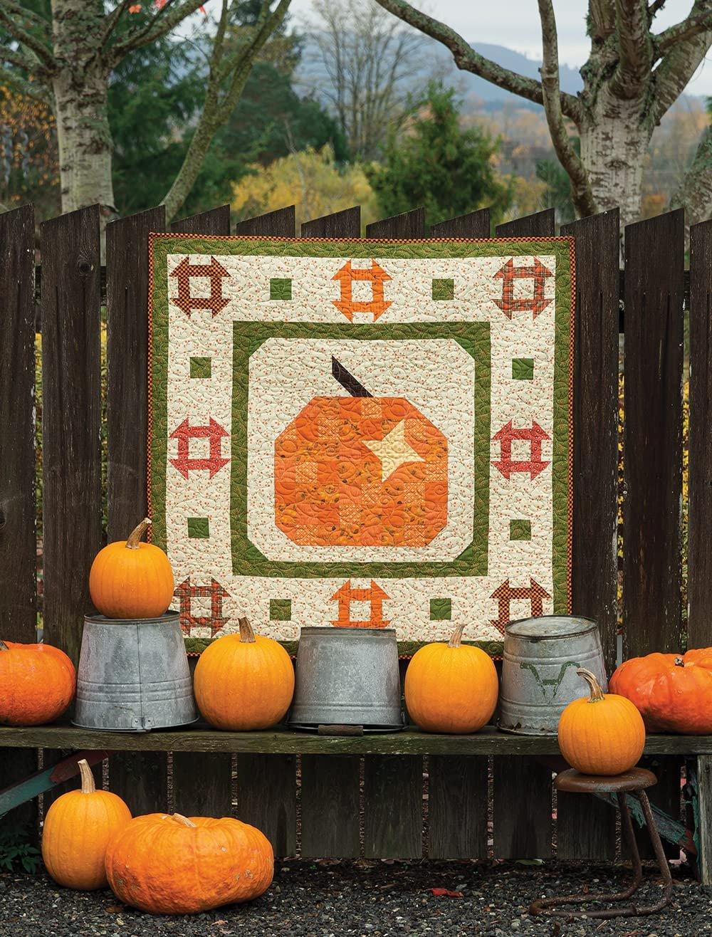 Pat Sloan's Holiday Hoopla: 12 Quilts for Everyday & Special Occasions - ZXASQW Funny Name. Free Shipping.