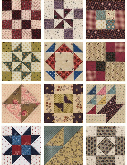 Schoolgirl Sampler: 72 Simple 4" Blocks and 7 Charming Quilts - ZXASQW Funny Name. Free Shipping.